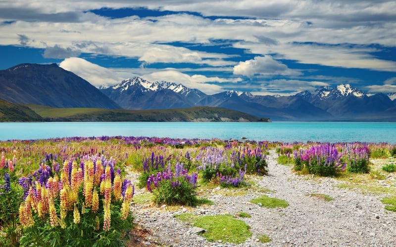 beautiful scenery in New Zealand