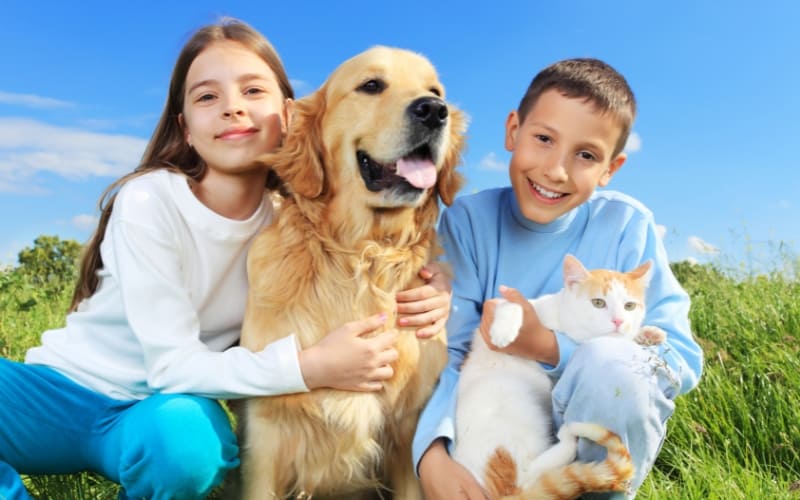 children relocating with their pet cat and dog