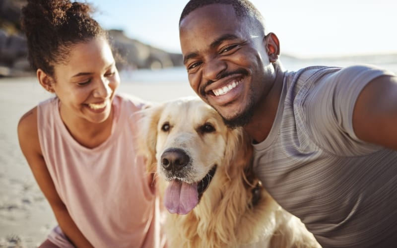 couple moved abroad with dog