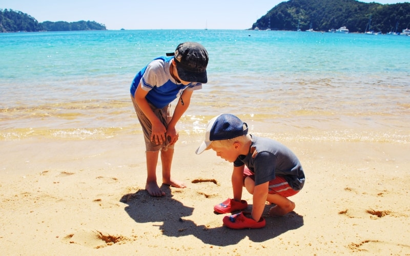 children in New Zealand school year