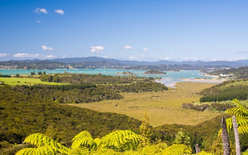Waitangi, Bay of Islands, Paihia, Northland, New Zealand