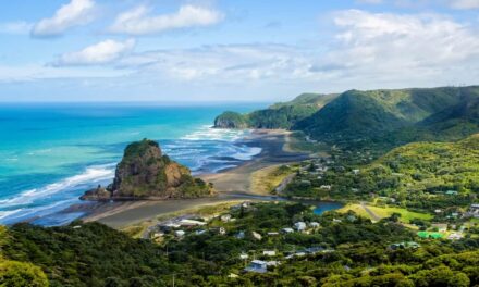 What You Need to Know About Customs When Moving to New Zealand