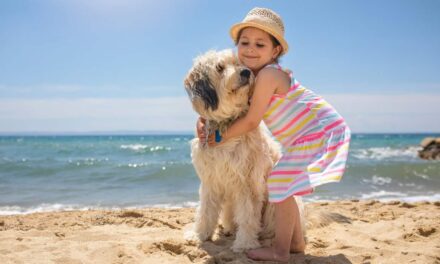 Moving with Your Pet Dog or Cat to Australia